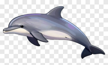 Cartoon Dolphin PNG