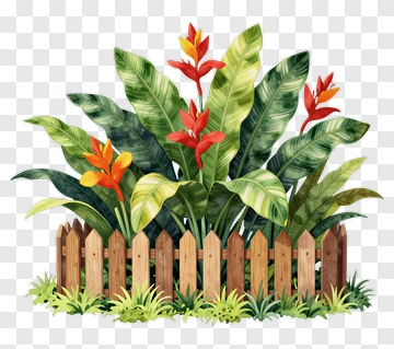 Tropical Plants With Wooden Fence PNG