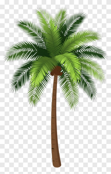 Realistic Palm Tree PNG