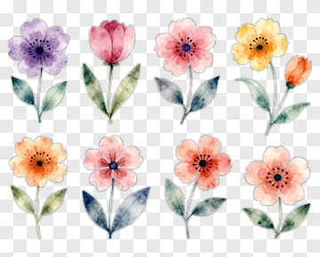 Watercolor Flower Bouquet PNG