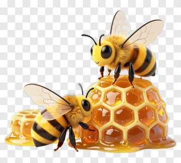 Cartoon Bees On Honeycomb PNG