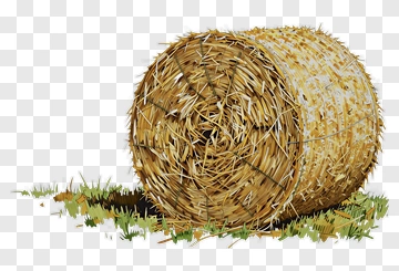 Hay Bale On Grass PNG