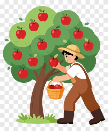 Farmer Picking Apples From A Tree PNG