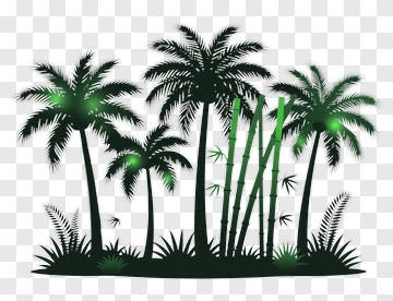 Tropical Palm Trees And Bamboo PNG