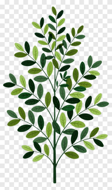 Colorful Tree Branch With Green Leaves PNG