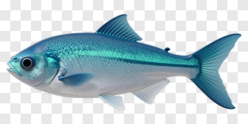3D Blue Fish PNG