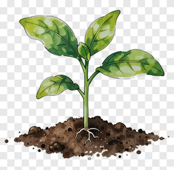 Watercolor Plant Growing In Soil PNG