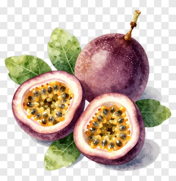 Watercolor Passion Fruit With Slices And Leaves PNG