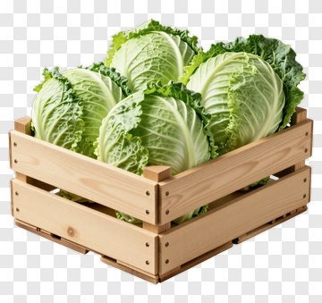 Wooden Crate Filled With Cabbages PNG