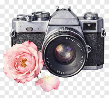 Vintage Camera With A Pink Rose PNG