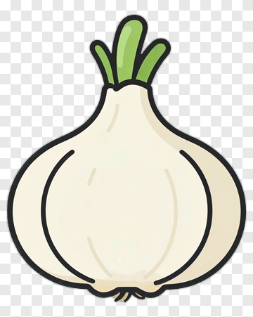 Cartoon Onion PNG