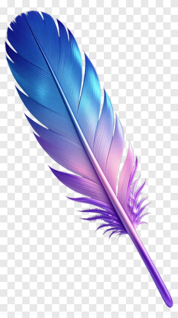 Colorful Feather PNG