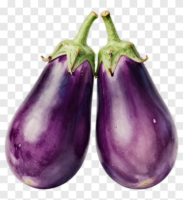 Pair Of Fresh Eggplants PNG