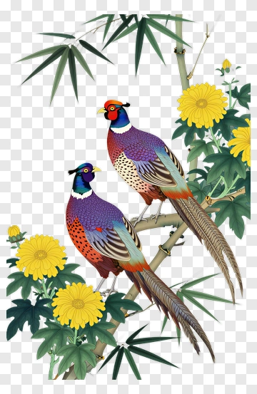 Colorful Pheasants Among Yellow Flowers And Bamboo PNG