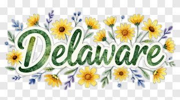 Delaware Floral Design PNG