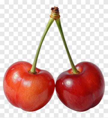 Red Cherries Connected By Stems PNG