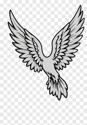 Cartoon Bird With Outstretched Wings PNG