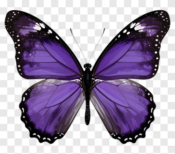 Purple Butterfly PNG