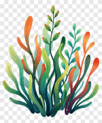 Colorful Plant Composition PNG