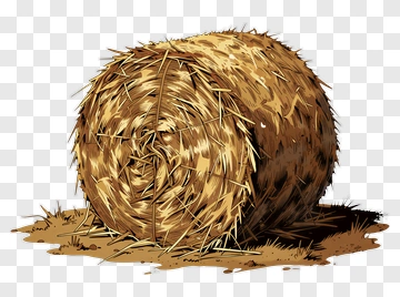 Hay Bale PNG