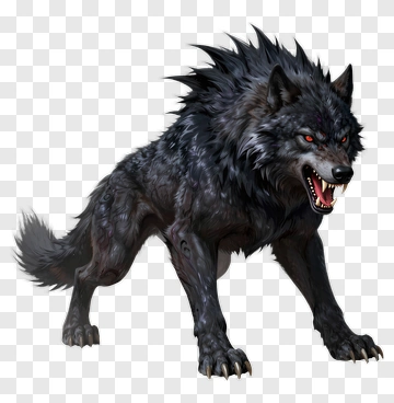 Fierce Black Wolf PNG