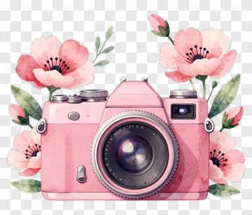 Pink Camera Surrounded By Flowers PNG