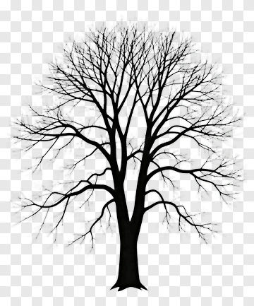 Silhouette Tree PNG
