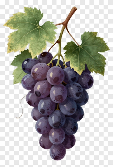 Realistic Bunch Of Grapes With Green Leaves PNG