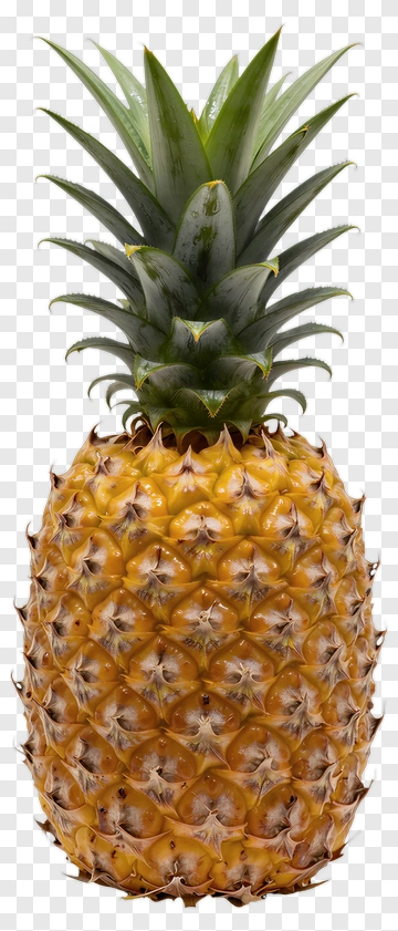 Fresh Pineapple PNG