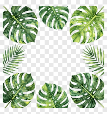 Tropical Leaf Frame PNG