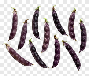 Purple Peas In Pods PNG