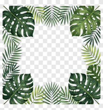 Tropical Leaf Frame PNG