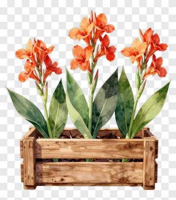 Colorful Flower Arrangement In Wooden Planter PNG