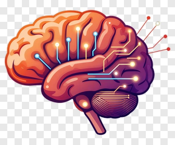 Colorful Brain With Circuit Patterns PNG