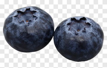 Blueberries PNG