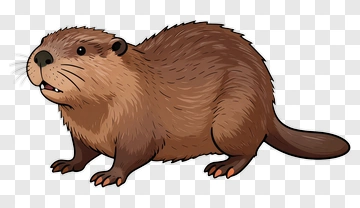 Cartoon Beaver PNG