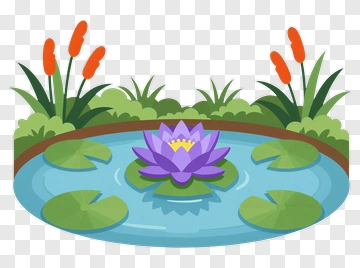 Colorful Water Lily In A Pond PNG