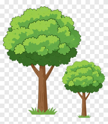 Colorful Cartoon Trees PNG
