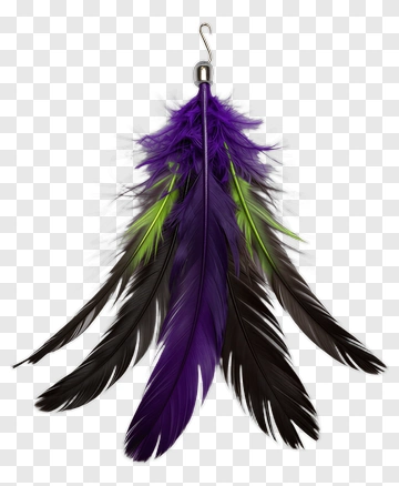 Colorful Feather Accessory PNG