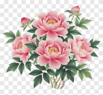 Pink Peony Flower Bouquet PNG