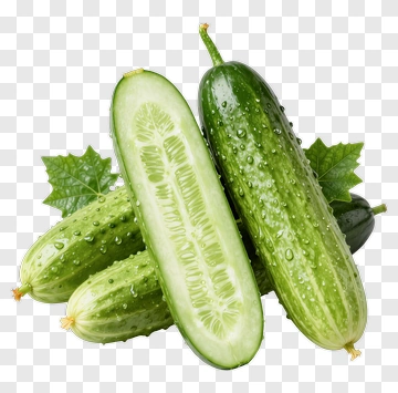 Fresh Cucumbers With Leaves PNG
