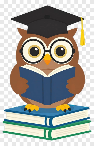 Cartoon Owl Reading A Book PNG