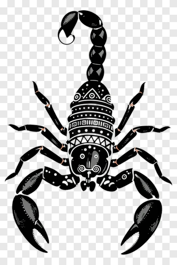 Decorative Scorpion Illustration PNG