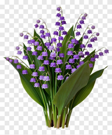 Purple Lily Of The Valley Bouquet PNG