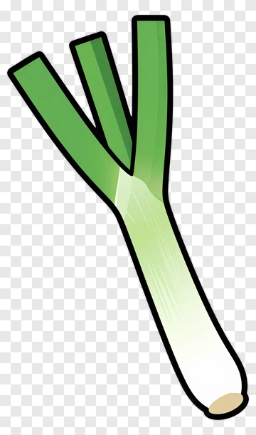 Green Onion PNG