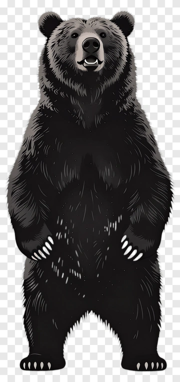 Standing Black Bear PNG