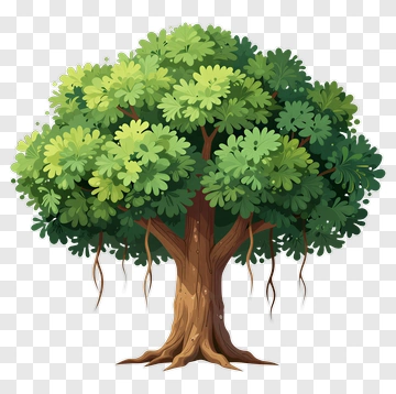 Colorful Tree PNG