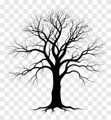Silhouette Tree With Bare Branches PNG