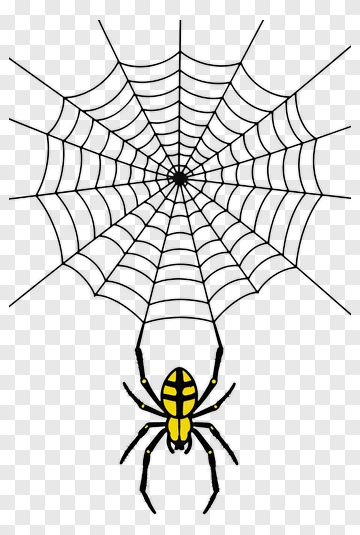 Cartoon Spider On A Web PNG