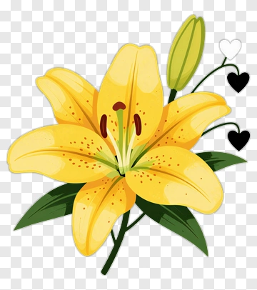 Yellow Lily Flower With Hearts PNG